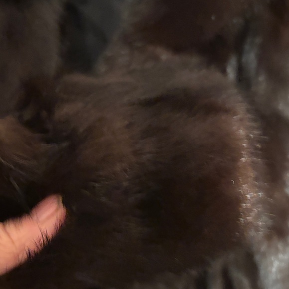 Vintage The Fashion Hermes/Rosenfield Shreveport Black Mink Coat 10-12 - Picture 10 of 13